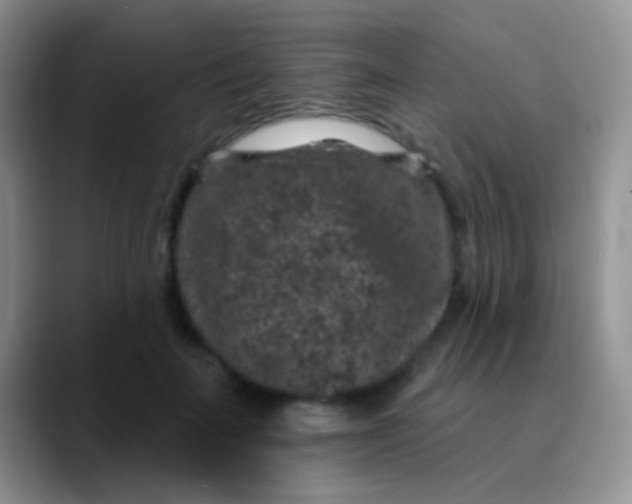 X0000089880699200707191956