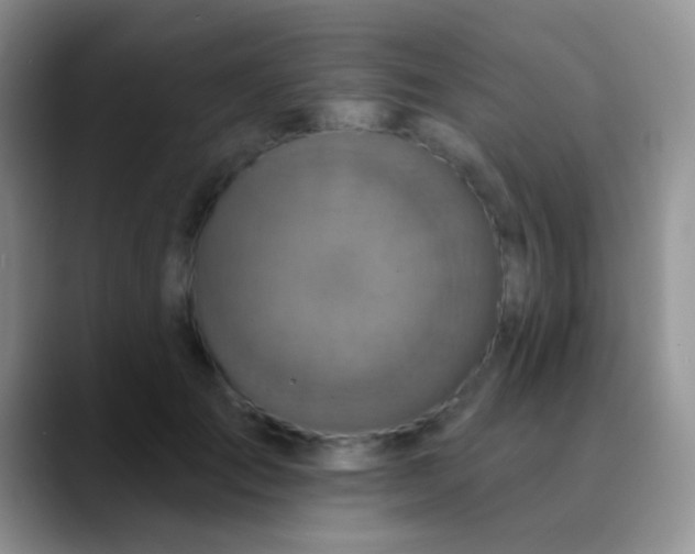 X0000089880701200707191956