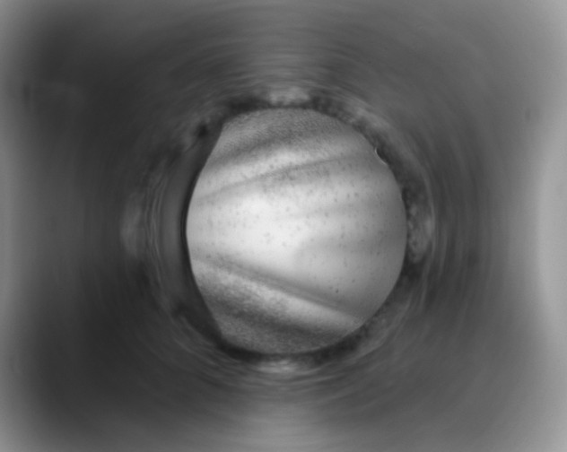 X0000089880704200707191956