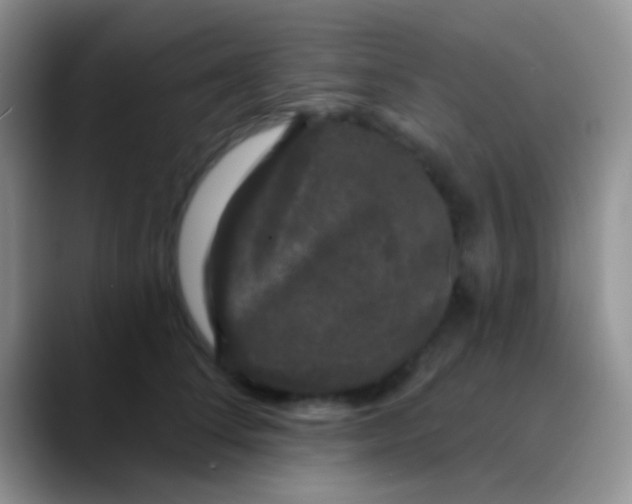 X0000089880708200707191956