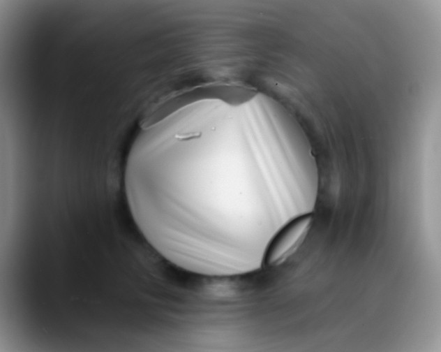 X0000089880710200707191956