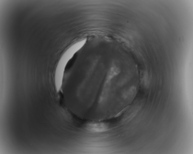 X0000089880712200707191956