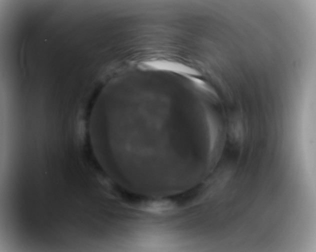 X0000089880716200707191956