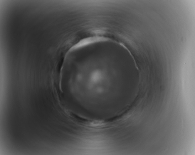 X0000089880720200707191956