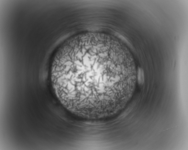 X0000089880723200707191956