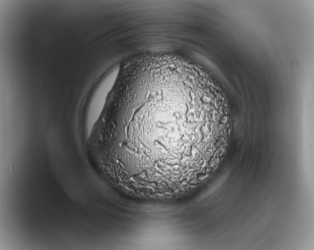 X0000089880725200707191956