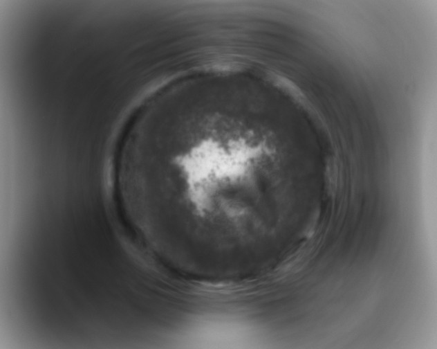 X0000089880726200707191956