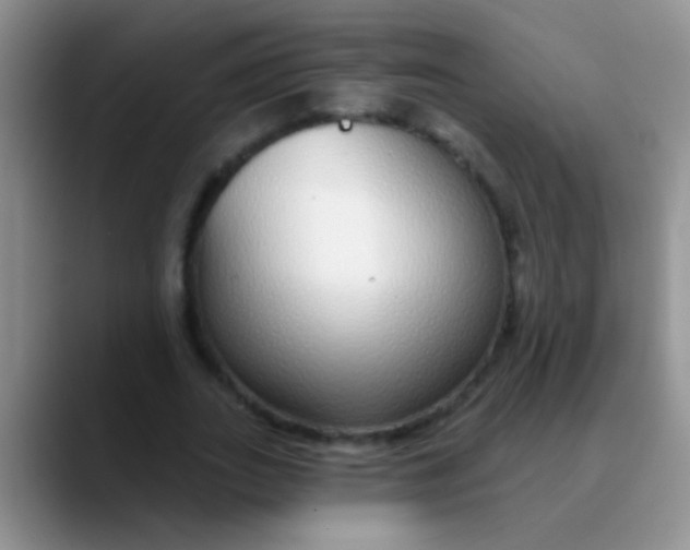 X0000089880727200707191956