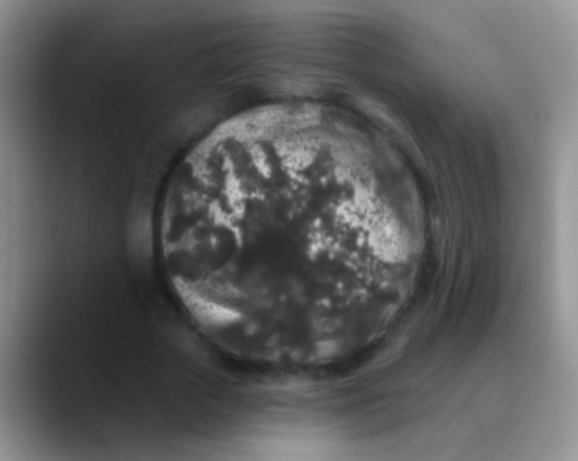 X0000089880729200707191956