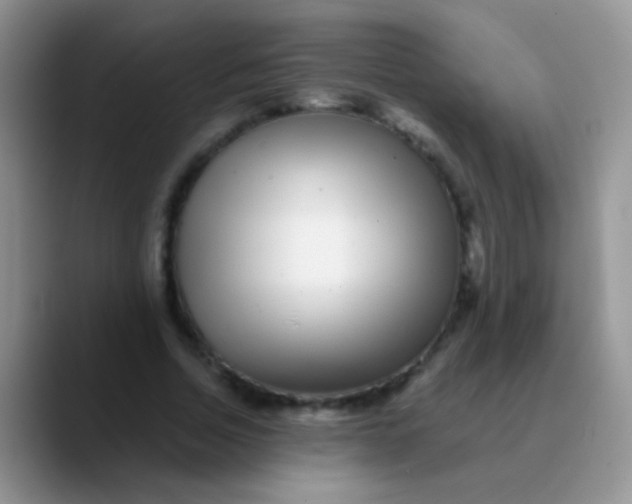 X0000089880730200707191956