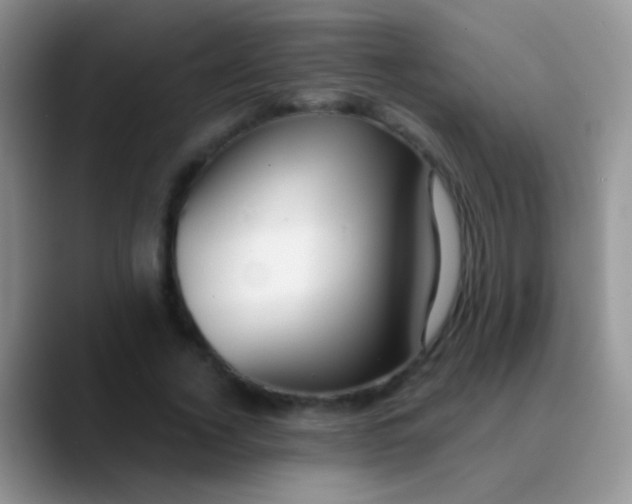 X0000089880732200707191956