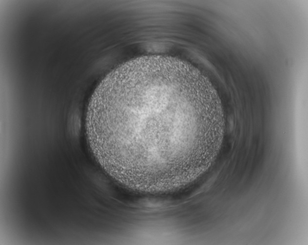 X0000089880733200707191956