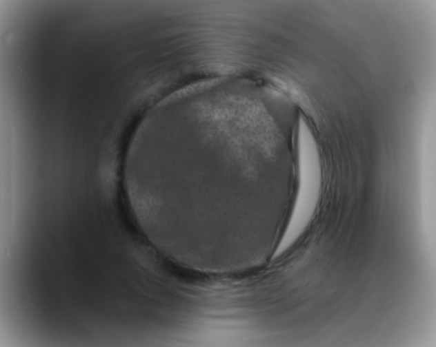 X0000089880736200707191956