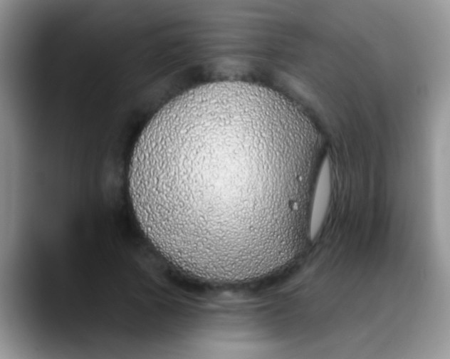 X0000089880737200707191956