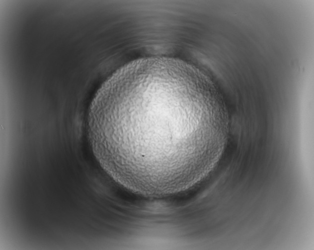 X0000089880741200707191956