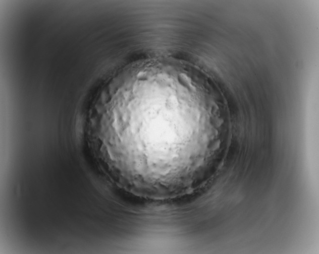 X0000089880742200707191956