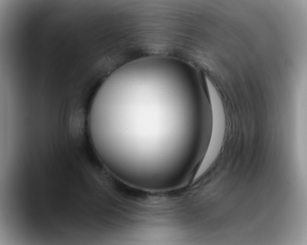 X0000089880744200707191956