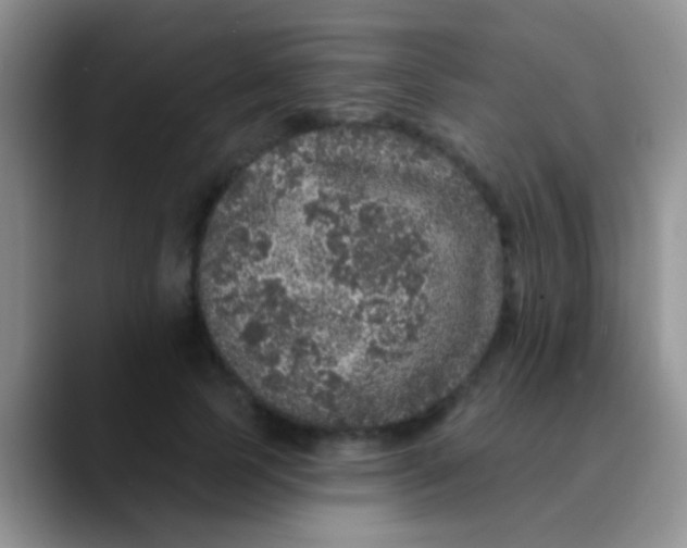 X0000089880745200707191956