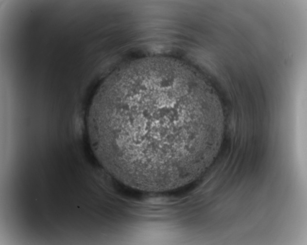 X0000089880746200707191956