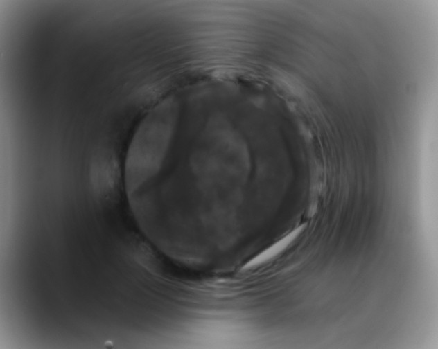 X0000089880748200707191956