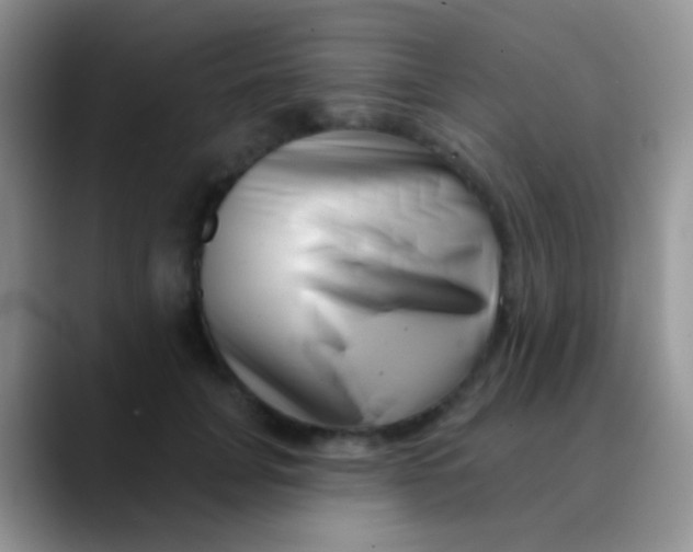 X0000089880751200707191956