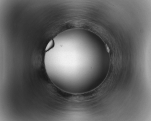 X0000089880752200707191956