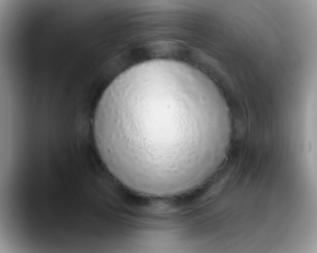 X0000089880753200707191956