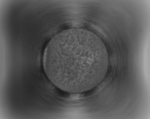 X0000089880757200707191956