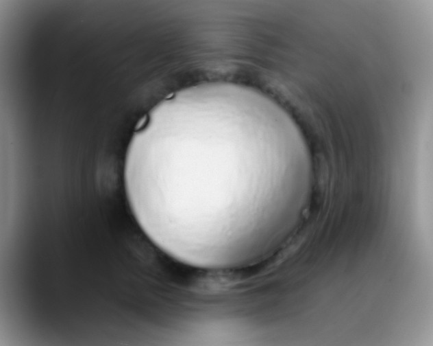 X0000089880758200707191956