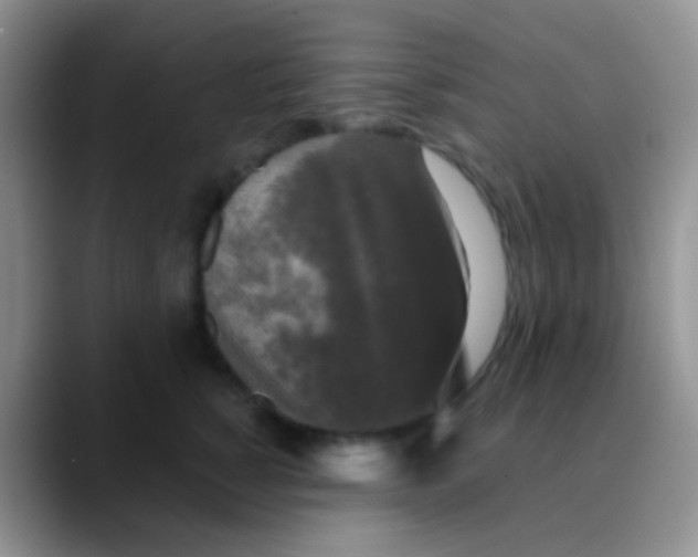 X0000089880760200707191956