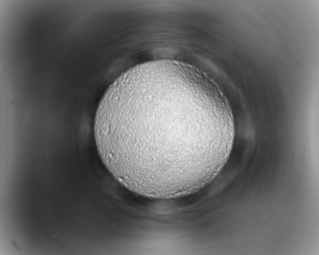 X0000089880761200707191956