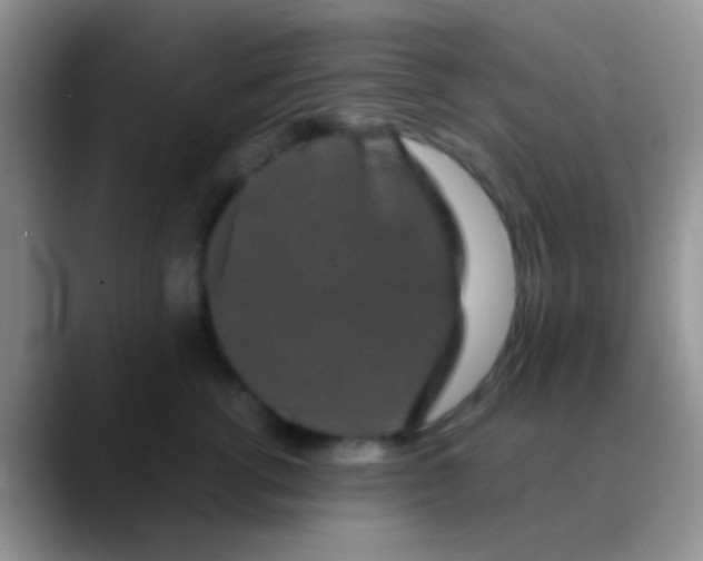 X0000089880762200707191956