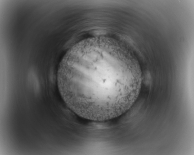 X0000089880763200707191956