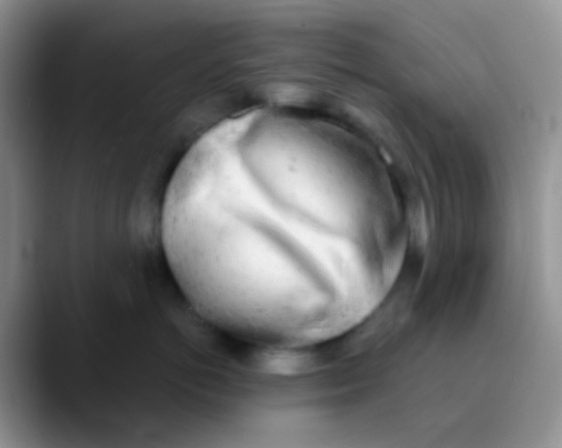 X0000089880766200707191956