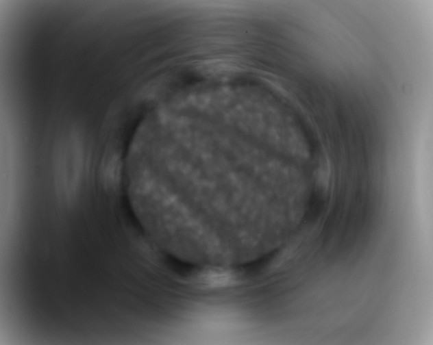 X0000089880767200707191956