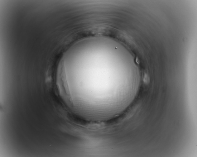 X0000089880771200707191955