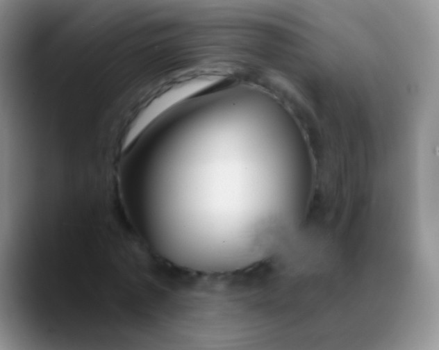 X0000089880773200707191955