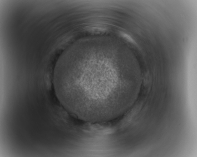 X0000089880774200707191955