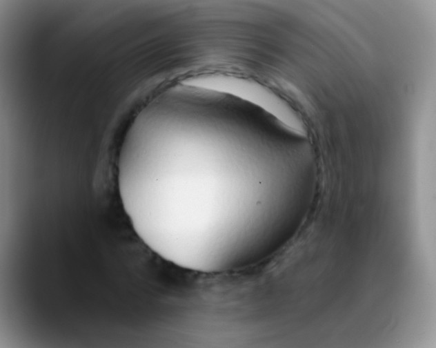 X0000089880776200707191955