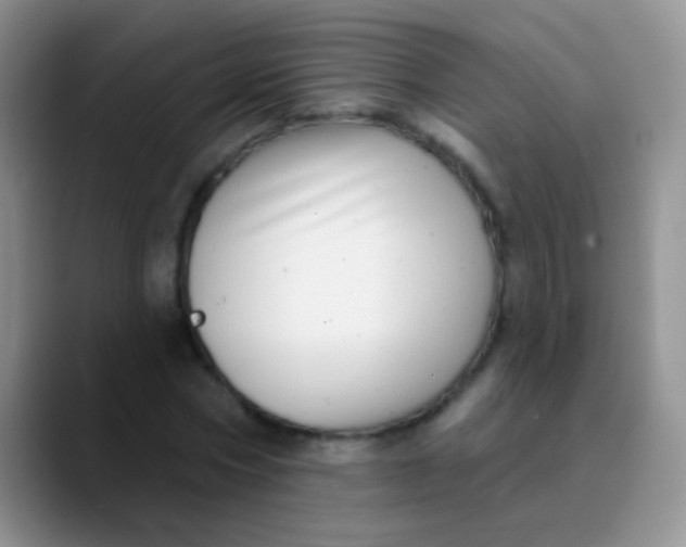 X0000089880778200707191955