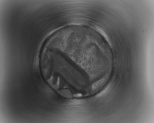 X0000089880779200707191955