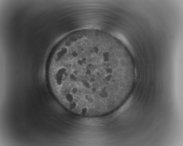 X0000089880780200707191955