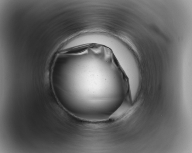 X0000089880781200707191955