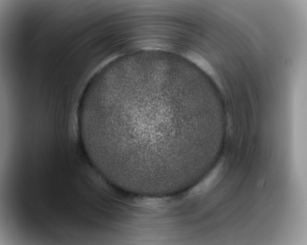 X0000089880782200707191955