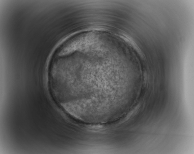 X0000089880784200707191955