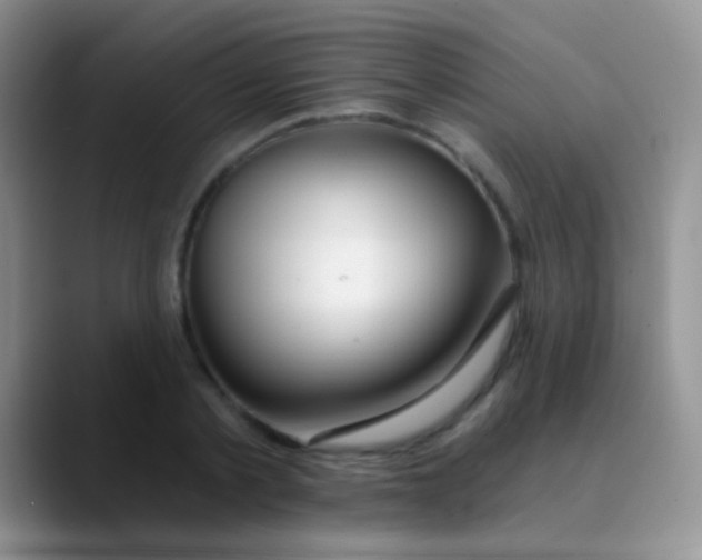 X0000089880789200707191955