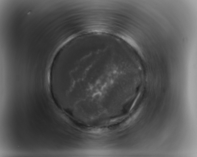 X0000089880790200707191955