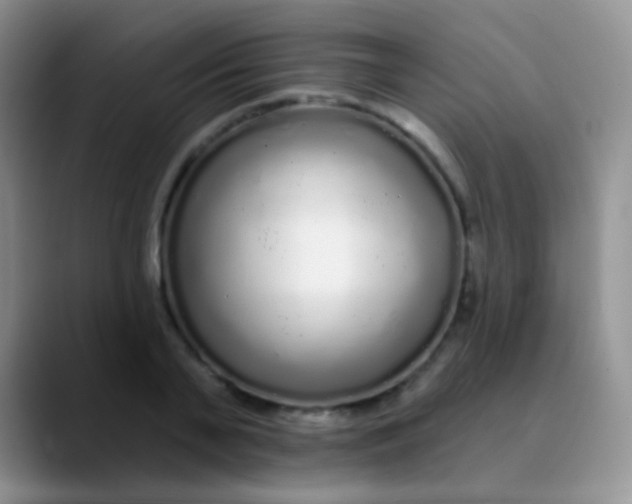 X0000089880791200707191955