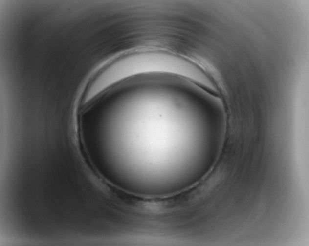 X0000089880792200707191955