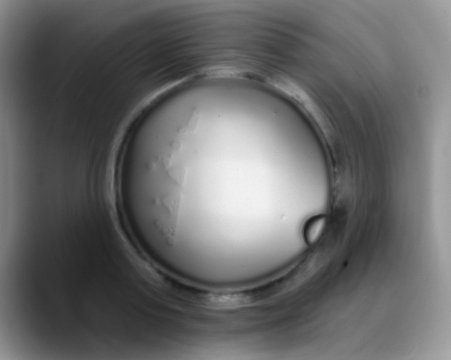 X0000089880795200707191955